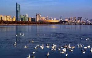 三門峽又一網紅景點，確定不來pick一下？